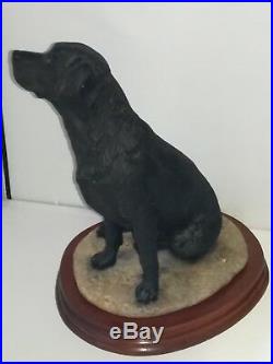 BORDER FINE ARTS, BLACK LABRADOR DOG 