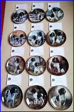 12x Springer Spaniel Plates Danbury Mint