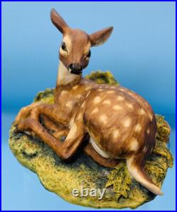 1978 Rare Artist A. Wall BORDER FINE ARTS ROE FAWN White Tail Deer Figurine