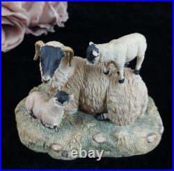1980s Border Fine Arts D Walton Scottish Black Face Sheep Family Highland