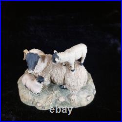 1980s Border Fine Arts D Walton Scottish Black Face Sheep Family Highland