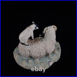 1980s Border Fine Arts D Walton Scottish Black Face Sheep Family Highland