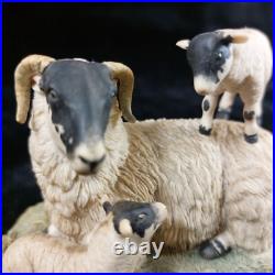1980s Border Fine Arts D Walton Scottish Black Face Sheep Family Highland