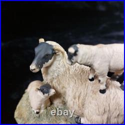 1980s Border Fine Arts D Walton Scottish Black Face Sheep Family Highland