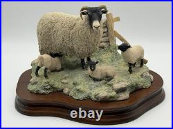 1985 Border Fine Arts James Herriot Swaledale Ewe & Lambs Figurine JH1