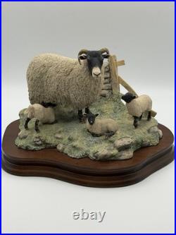 1985 Border Fine Arts James Herriot Swaledale Ewe & Lambs Figurine JH1