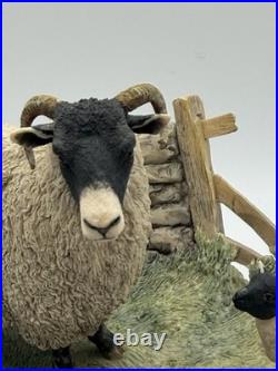 1985 Border Fine Arts James Herriot Swaledale Ewe & Lambs Figurine JH1
