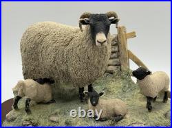 1985 Border Fine Arts James Herriot Swaledale Ewe & Lambs Figurine JH1