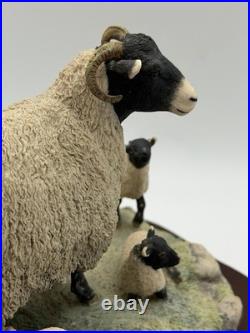1985 Border Fine Arts James Herriot Swaledale Ewe & Lambs Figurine JH1