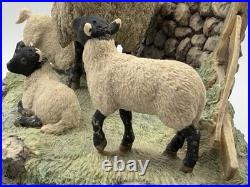 1985 Border Fine Arts James Herriot Swaledale Ewe & Lambs Figurine JH1