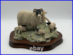 1985 Border Fine Arts James Herriot Swaledale Ewe & Lambs Figurine JH1