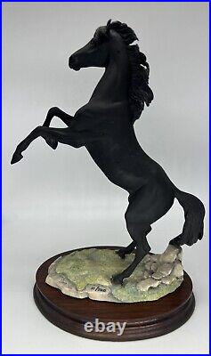1987 BFA Border Fine Arts Scotland Fred Stone 20/3500 The Black Stallion Return