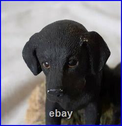 1990 Border Fine Arts Black Lab Pups With Decoy Duck 123a