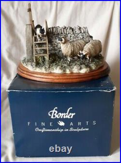 1997 Border Fine Arts Element Of Surprise B0089 Border Collie & Sheep