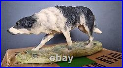 A BORDER FINE ARTS RARE BORDER COLLIE DOG by MAIRI LAING 1979