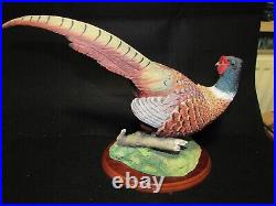 Absolutely HUGE Border Fine Arts BFA Pheasant by Russell Willis A0659 Game Birds