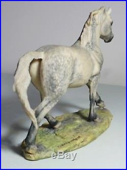 BFA Border Fine Arts CONNEMARA PONY Native Ponies Of Britain NP4 JUDY BOYT RARE
