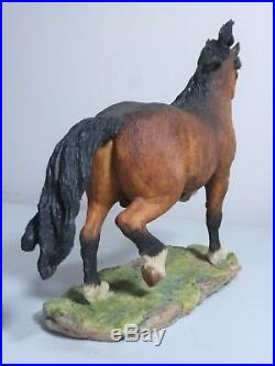 BFA Border Fine Arts WELSH COB PONY Native Ponies Of Britain NP6 JUDY BOYT RARE