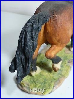 BFA Border Fine Arts WELSH COB PONY Native Ponies Of Britain NP6 JUDY BOYT RARE