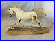 BORDER-FINE-ARTS-ARABIAN-MARE-FOAL-Artist-Resin-Horse-01-sf