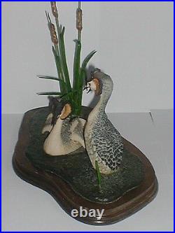 BORDER FINE ARTS, COURTING GREBES, 1986. Stunning. Original, Very Rare, Old