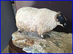 BORDER FINE ARTS, EARLY LAMBS LATE SNOW 1988 With Box & Cert RARE