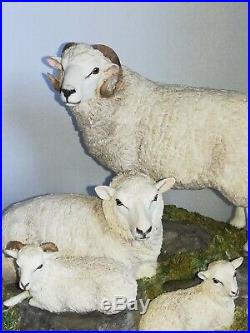 BORDER FINE ARTS, Limited Edition, SHETLAND SHEEP FAMILY, Stunning, 2000, V. Rare