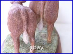 BORDER FINE ARTS Limousin cow and calf 2002 Cows FIGURINE Unboxed BORDER FINE ARTS Limousin cow and calf 2002 Cows FIGURINE Unboxed