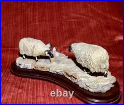 BORDER FINE ARTS MODEL NO 113 Sheep with Lambs EARLY LAMBS LATE SNOW 1988