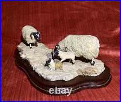 BORDER FINE ARTS MODEL NO 113 Sheep with Lambs EARLY LAMBS LATE SNOW 1988