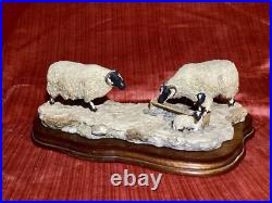 BORDER FINE ARTS MODEL NO 113 Sheep with Lambs EARLY LAMBS LATE SNOW 1988