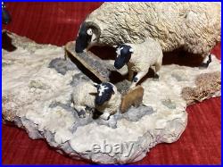 BORDER FINE ARTS MODEL NO 113 Sheep with Lambs EARLY LAMBS LATE SNOW 1988