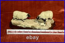 BORDER FINE ARTS MODEL NO 113 Sheep with Lambs EARLY LAMBS LATE SNOW 1988