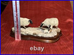 BORDER FINE ARTS MODEL NO 113 Sheep with Lambs EARLY LAMBS LATE SNOW 1988
