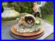 BORDER-FINE-ARTS-THE-JOYS-OF-SPRING-2-ROBINS-AND-CHICKS-FIGURINE-by-Ray-Ayres-01-pix