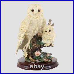 Barn Owl And Chick Border Fine Arts