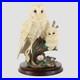 Barn-Owl-And-Chick-Border-Fine-Arts-01-rjfd