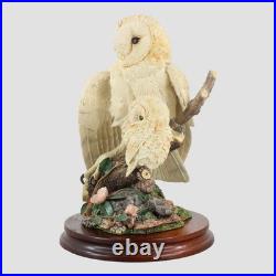 Barn Owl And Chick Border Fine Arts