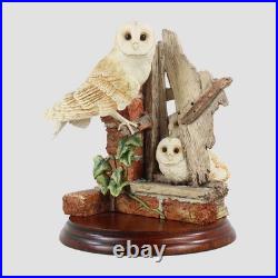 Barn Owl Family Border Fine Arts