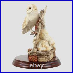 Barn Owl Family Border Fine Arts