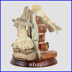 Barn Owl Family Border Fine Arts