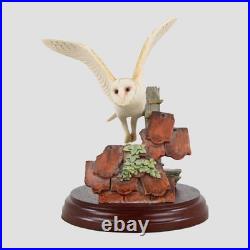 Barn Owl Flying Border Fine Arts