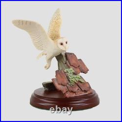 Barn Owl Flying Border Fine Arts