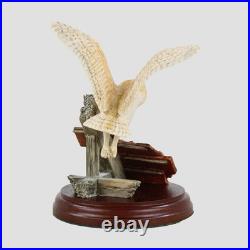 Barn Owl Flying Border Fine Arts