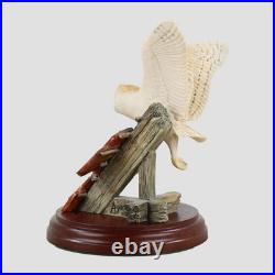 Barn Owl Flying Border Fine Arts