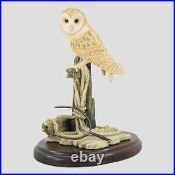 Barn Owl On A Post With Rope Border Fine Arts