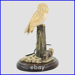 Barn Owl On A Post With Rope Border Fine Arts