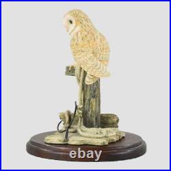 Barn Owl On A Post With Rope Border Fine Arts