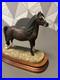 Beautiful-B-F-A-Border-Fine-Arts-Bay-Welsh-Mountain-Pony-Anne-Wall-Ltd-Ed-Ex-01-bzh