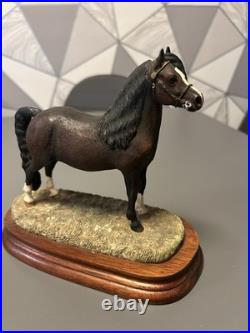 Beautiful B. F. A. Border Fine Arts Bay Welsh Mountain Pony Anne Wall Ltd Ed Ex